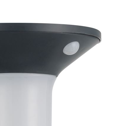 Eglo - Lampada solare da esterno a LED con sensore 6xLED/0,03W/3,7V IP44