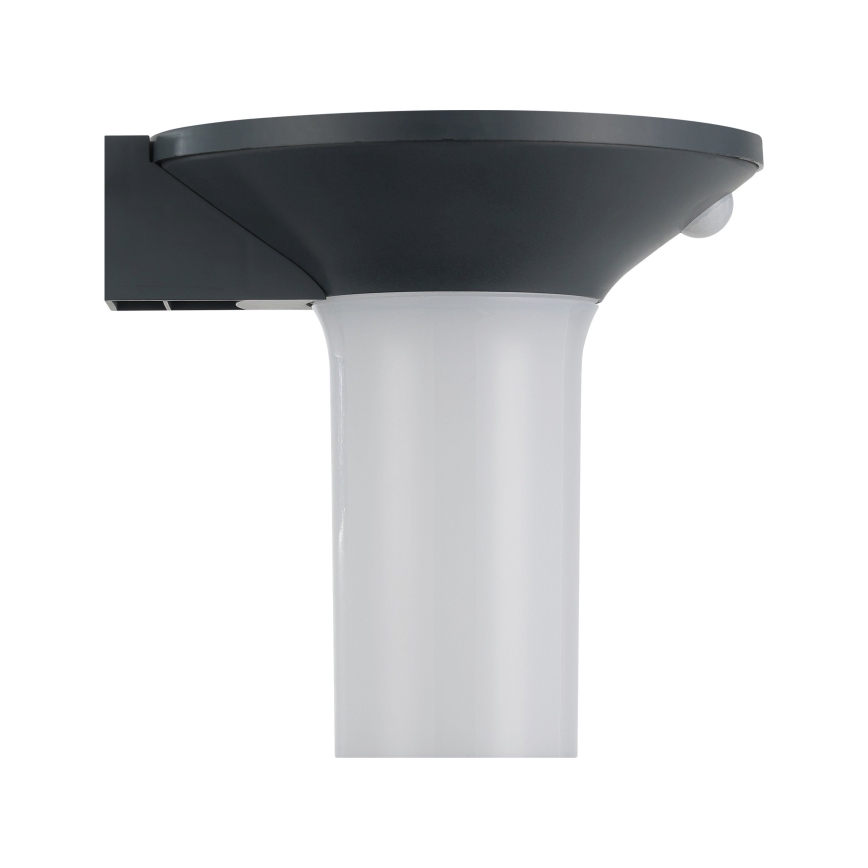Eglo - Lampada solare da esterno a LED con sensore 6xLED/0,03W/3,7V IP44