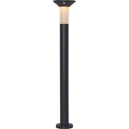 Eglo - Lampada solare LED da esterno con sensore 6xLED/0,03W/3,7V 1500 mAh IP44