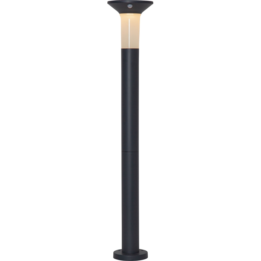 Eglo - Lampada solare LED da esterno con sensore 6xLED/0,03W/3,7V 1500 mAh IP44