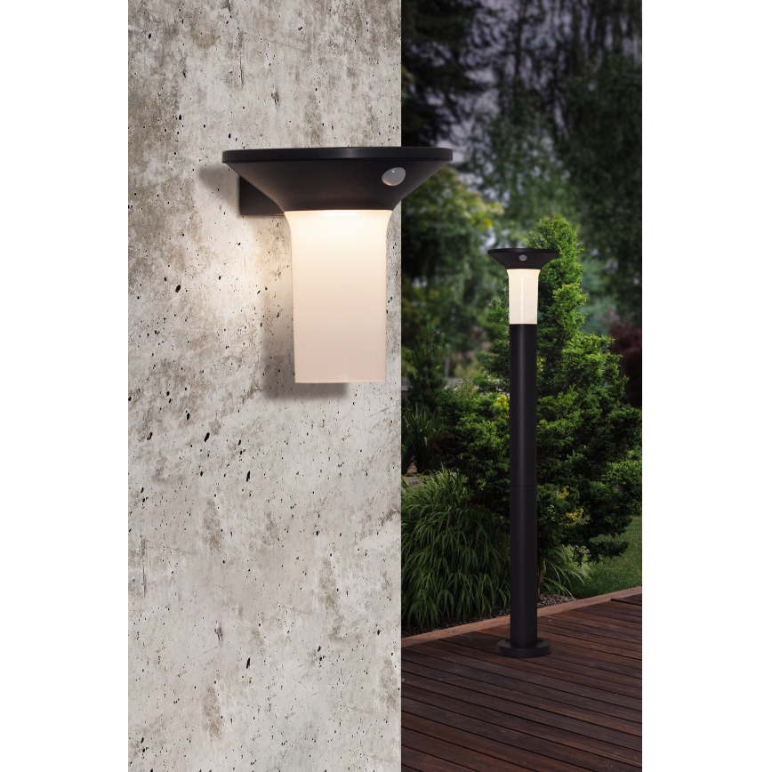 Eglo - Lampada solare LED da esterno con sensore 6xLED/0,03W/3,7V 1500 mAh IP44