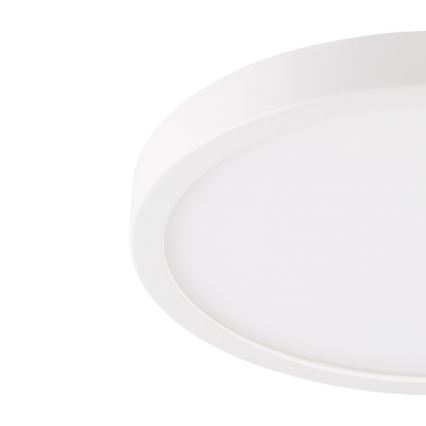 Eglo - LED Plafoniera da bagno LED/20,5W/230V IP44 bianco