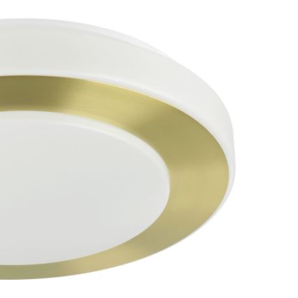 Eglo - Plafoniera LED da bagno LED/10,8W/230V IP44