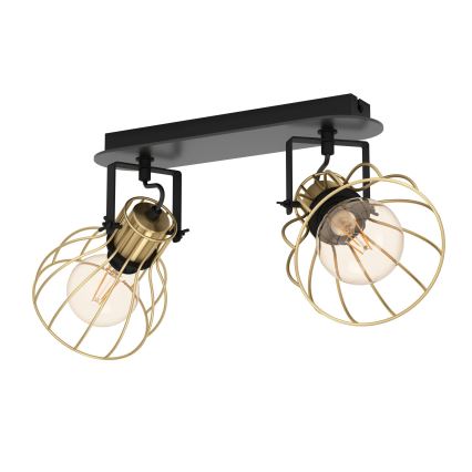 Eglo - Lampada a spot 2xE27/40W/230V