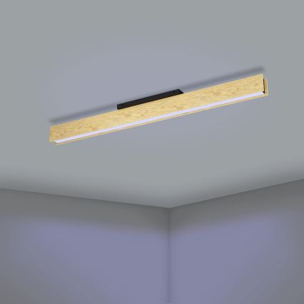 Eglo - Plafoniera dimmerabile RGBW LED/35W/230V 2700-6500K