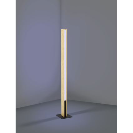 Eglo - LED RGBW Lampada da terra con dimmer LED/35W/230V 2700-6500K