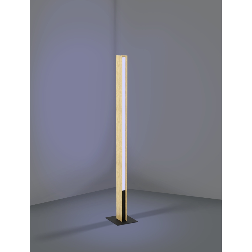 Eglo - LED RGBW Lampada da terra con dimmer LED/35W/230V 2700-6500K