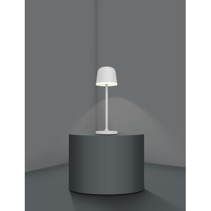 Eglo - Lampada da esterno ricaricabile dimmerabile LED/2,2W/5V 1800 mAh grigio IP54