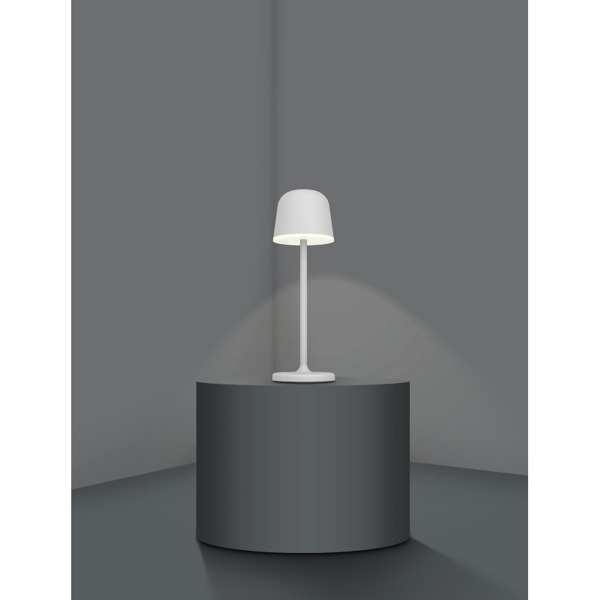 Eglo - Lampada da esterno ricaricabile dimmerabile LED/2,2W/5V 1800 mAh grigio IP54