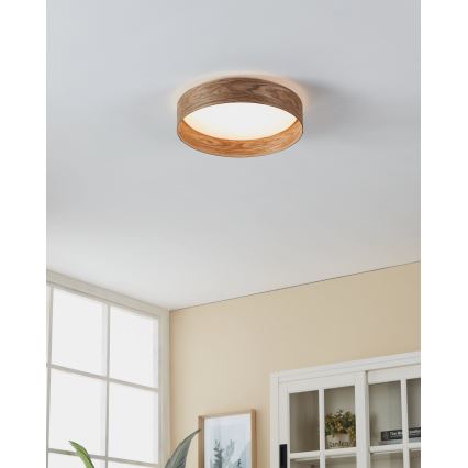 Eglo - Plafoniera LED LED/24W/230V