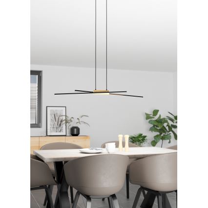 Eglo - Lampadario a sospensione con filo LED dimmerabile 2xLED/13W/230V