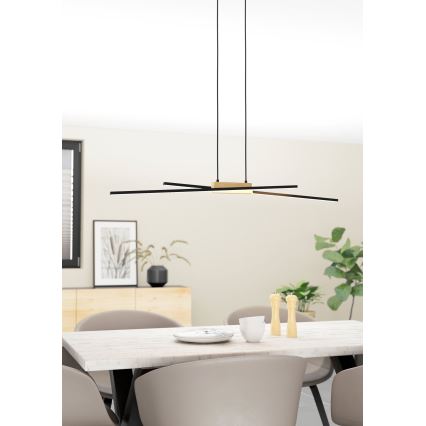 Eglo - Lampadario a sospensione con filo LED dimmerabile 2xLED/13W/230V