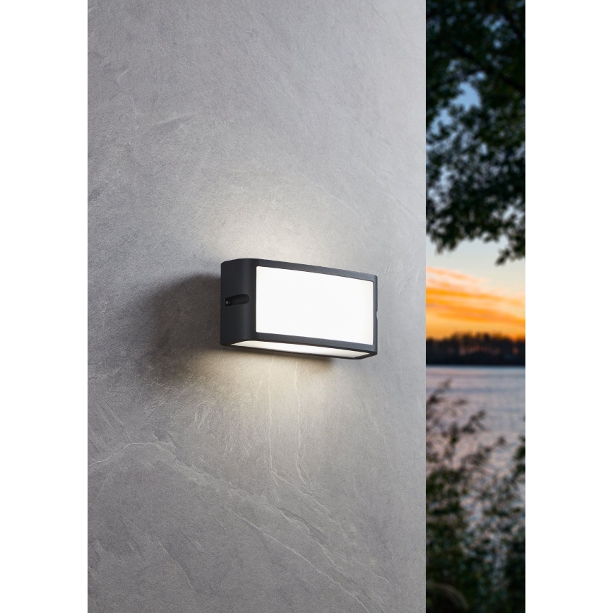 Eglo - Applique a LED da esterno LED/10,5W/230V antracite IP54