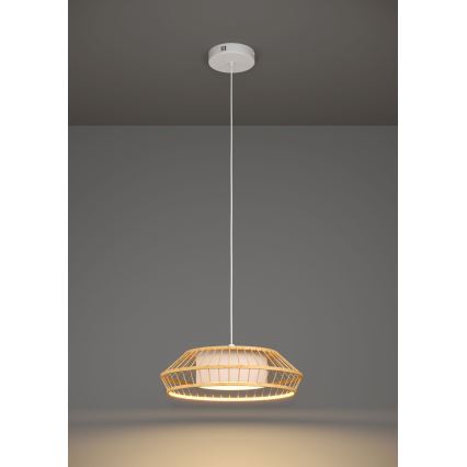 Eglo - LED RGBW Lampadario dimmerabile a sospensione con filo LED/22W/230V 2700-6500K