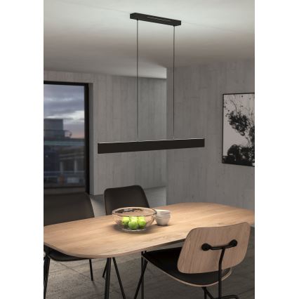 Eglo - LED RGBW Lampadario dimmerabile a sospensione con filo LED/38W/230V 2700-6500K nero