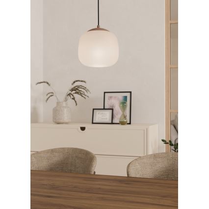 Eglo - Lampadario a sospensione con filo 1xE27/40W/230V