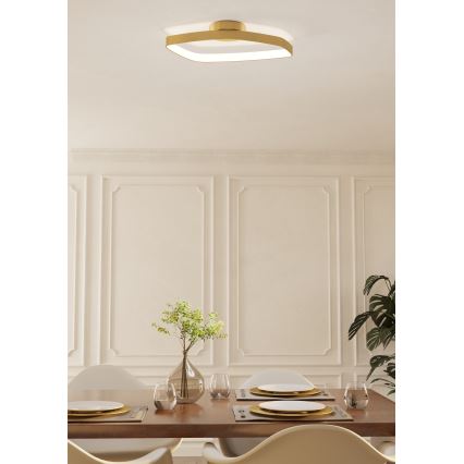 Eglo - Plafoniera LED dimmerabile LED/25,2W/230V