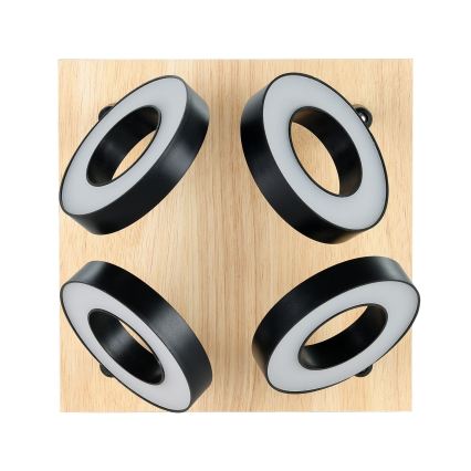 Eglo - Faretto LED 4xLED/4,2W/230V nero/marrone