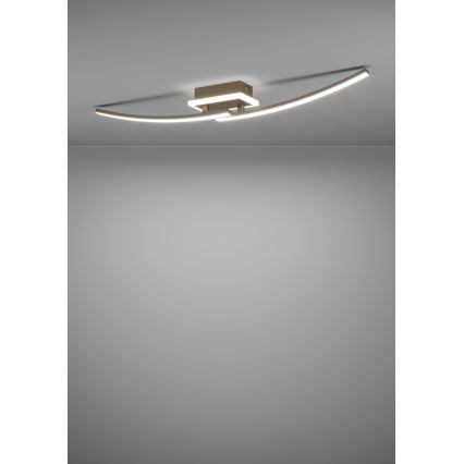 Eglo - Plafoniera LED LED/12W/230V 4000K rame