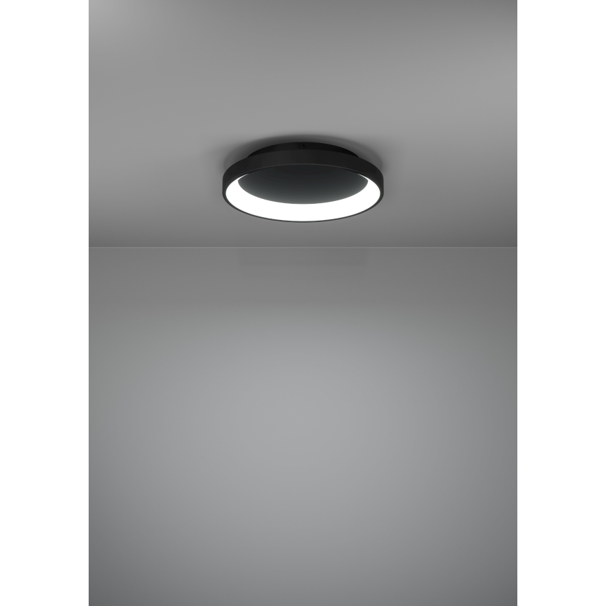 Eglo - Plafoniera LED dimmerabile LED/12W/230V 2700-6500K nero + telecomando