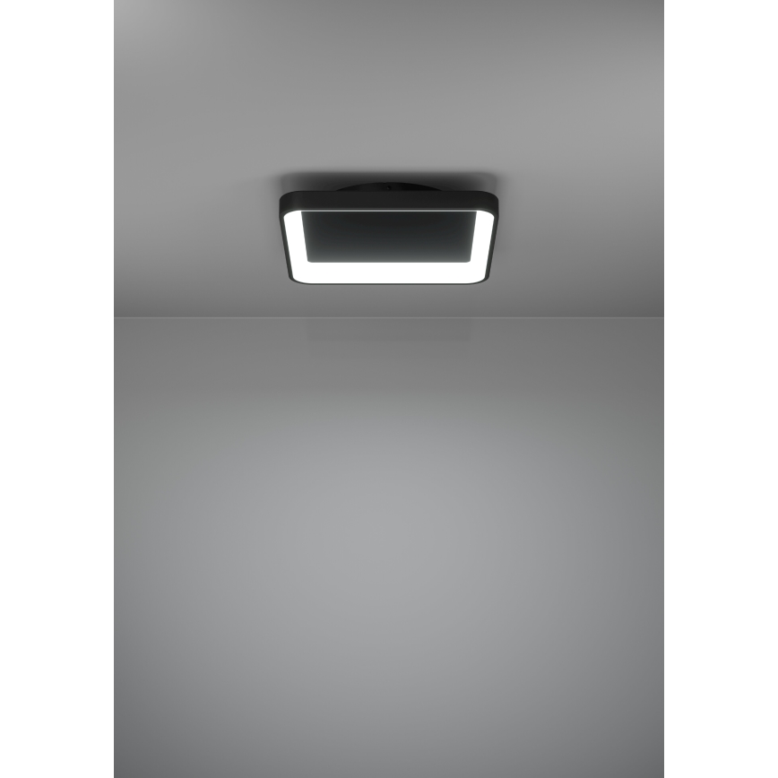Eglo - Plafoniera LED dimmerabile LED/12W/230V 2700-6500K nero + telecomando