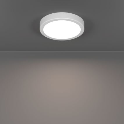 Eglo - Plafoniera da soffitto LED per bagno, 7,5 W, 230 V, 2700/4000/6500 K, Ø 16,6 cm, IP44, bianca