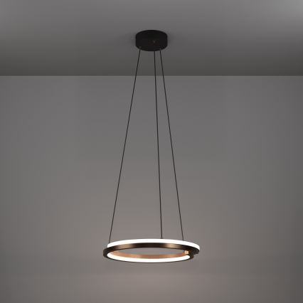 Eglo - Lampadario LED dimmerabile a sospensione con cavo 2xLED/20W/230V 2700-6500K Ø 48 cm bronzo + telecomando