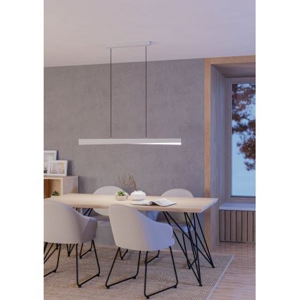 Eglo - Lampadario a sospensione LED RGBW dimmerabile su cavo LED/19W/230V 2700-6500K grigio