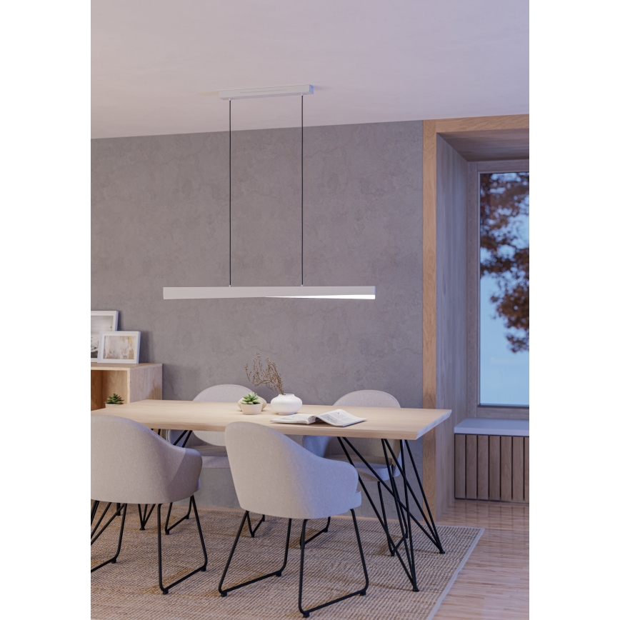 Eglo - Lampadario a sospensione LED RGBW dimmerabile su cavo LED/19W/230V 2700-6500K grigio