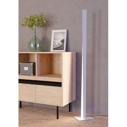 Eglo - Lampada da terra dimmerabile LED RGBW LED/10,5W/230V + LED/15,2W 2700-6500K grigia