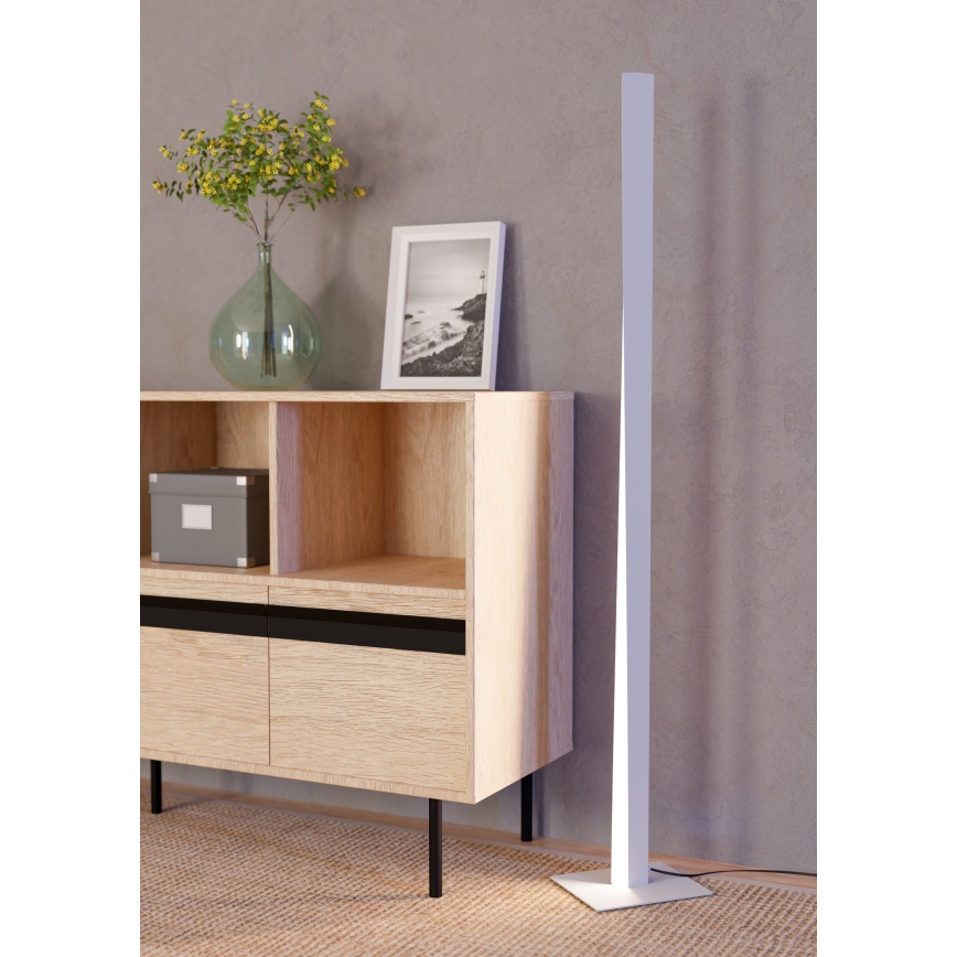 Eglo - Lampada da terra dimmerabile LED RGBW LED/10,5W/230V + LED/15,2W 2700-6500K grigia