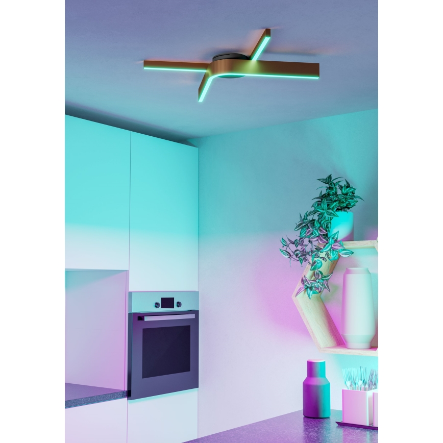 Eglo - Plafoniera LED RGBW dimmerabile 2xLED/18W/230V 2700-6500K rame/nero