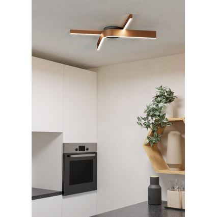 Eglo - Plafoniera LED RGBW dimmerabile 2xLED/18W/230V rame/nero