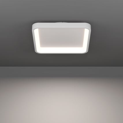 Eglo - Plafoniera a LED RGBW dimmerabile LED/20W/230V 2700-6500K 35x35 cm bianca