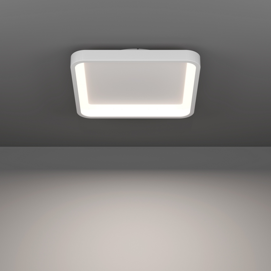 Eglo - Plafoniera a LED RGBW dimmerabile LED/20W/230V 2700-6500K 35x35 cm bianca