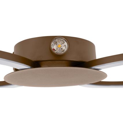 Eglo - Lampada da parete LED/20W/230V + LED/0,91W beige