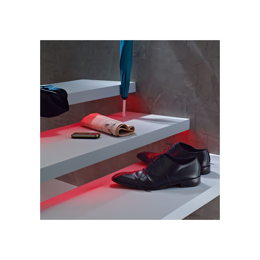 Eglo 92056 - RGB Striscia LED FLEX 2xLED/4,32W/230V