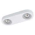 Eglo 94176 - Faretto LED MONTALE 2xLED/5,4W/230V