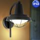 Eglo 94862 - Lampada LED da esterno COLINDRES 1 1xE27/8,5W/230V