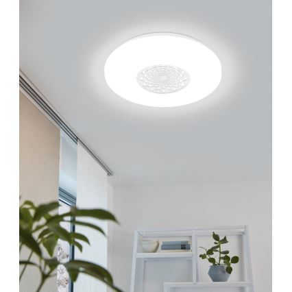 Eglo - Plafoniera LED/24W/230V