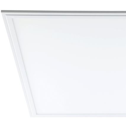 Eglo - Pannello LED da soffitto LED/40W/230V