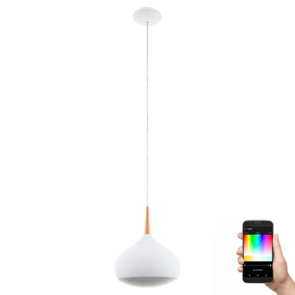 Eglo 97087 - Lampada a sospensione dimmerabile LED RGBW COMBA-C 1xLED/18W/230V