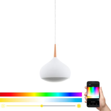 Eglo 97087 - Lampada a sospensione dimmerabile LED RGBW COMBA-C 1xLED/18W/230V