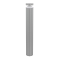 Eglo 97302 - Lampada LED da esterno MELZO LED/11W/230V grigio 990 mm