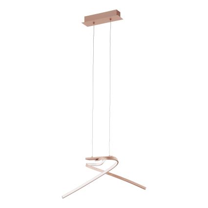 Eglo 97362 - Lampadario LED a sospensione con filo PALOZZA 2xLED/11W/230V