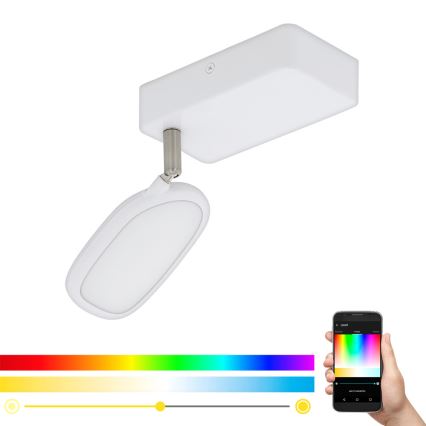 Eglo 97691 - Faretto LED RGB PALOMBARE-C 1xLED/5W/230V