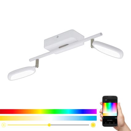 Eglo 97692 - Faretto LED PALOMBARE-C 2xLED/5W/230V