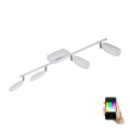 Eglo 97694 - Luce Spot a LED PALOMBARE-C 4xLED/5W/230V