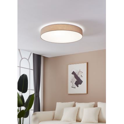 Eglo - Plafoniera LED dimmerabile LED/60W/230V