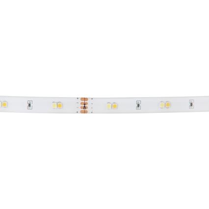 Eglo - Striscia LED RGB dimmerabile LED/10W/230V IP20 2m